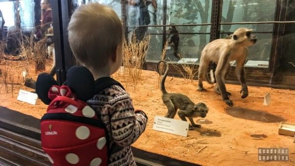 Museum of Natural History, Vienna - Austria