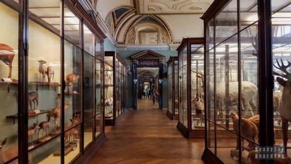 Museum of Natural History, Vienna - Austria