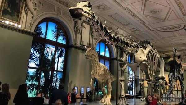 Museum of Natural History, Vienna - Austria