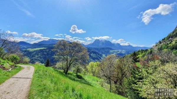 Bolzano - South Tyrol - Italy
