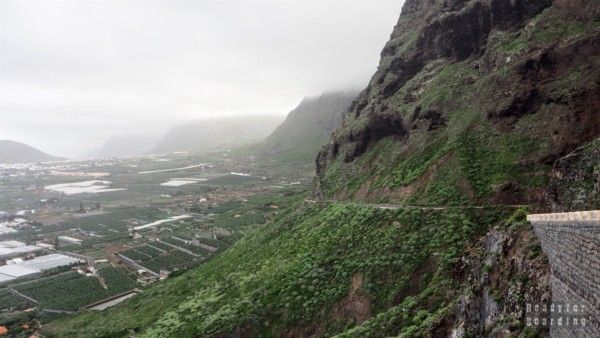 Tenerife - Canary Islands