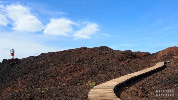 Tenerife - Canary Islands