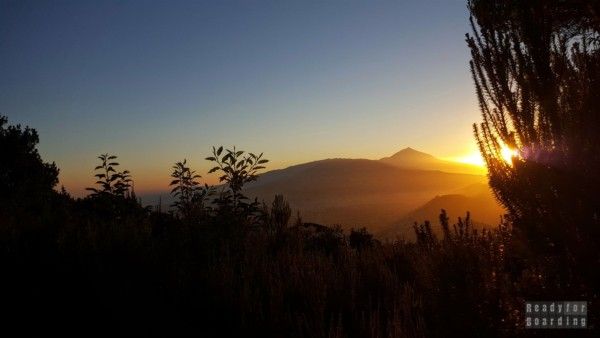 Tenerife - Canary Islands