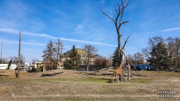 Zoological Garden in Wroclaw