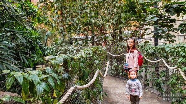 Afrykarium - ZOO Wroclaw